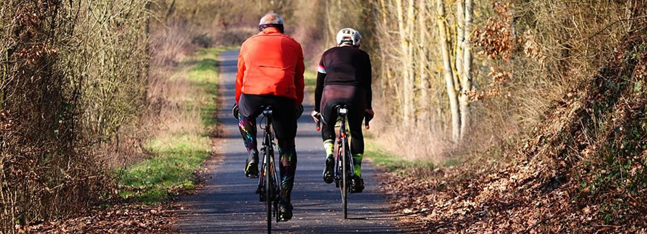 people cycling through autumn forest