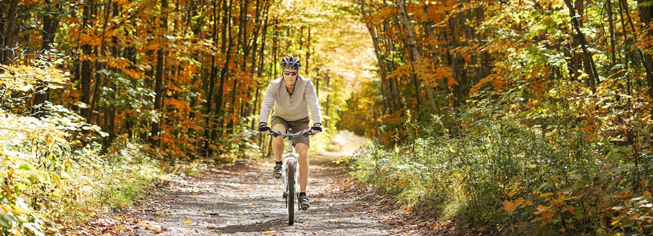 man cycling in autumn wood